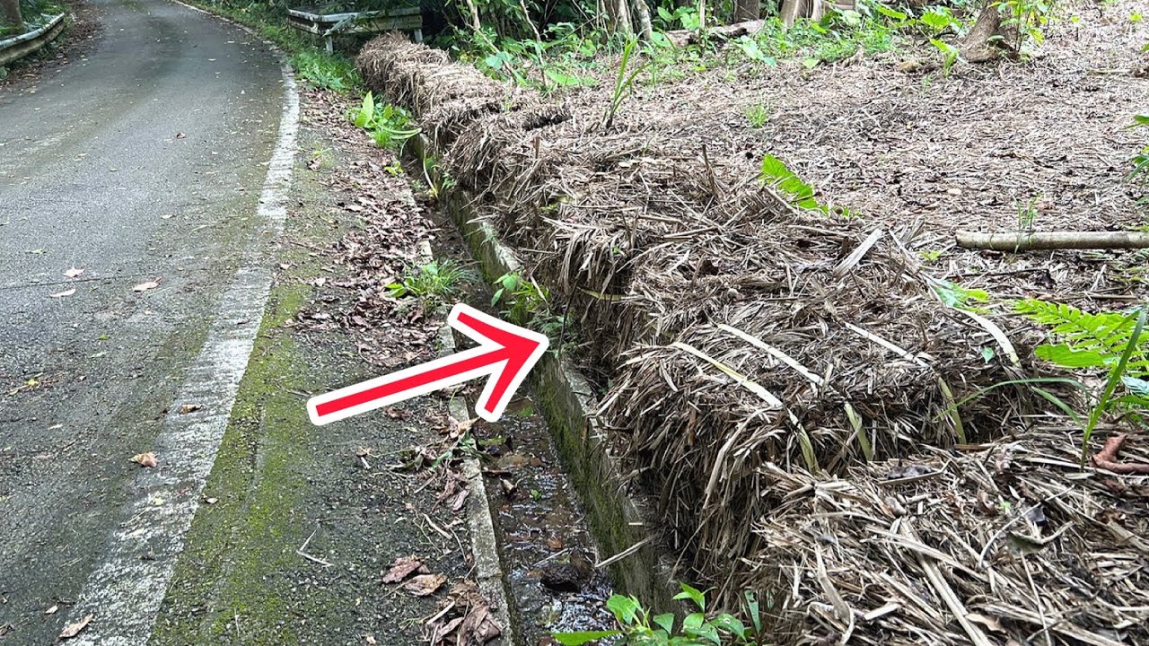 道路脇にあった藁のブロックをどかしてみたら...