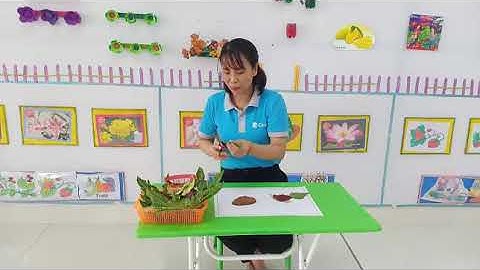 HĐ Tạo hình làm tranh con vật từ lá cây lớp MG 5 6 tuổi