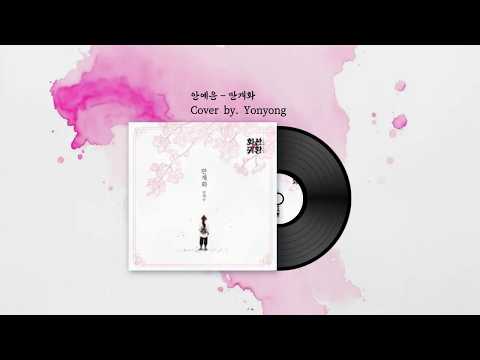 만개화 커버. 요뇽