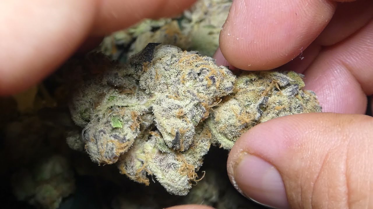 Meat Breath Fr West Coast Cannabis