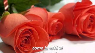 Bon jovi - Bed of roses (Videoimágenes - subtitulado en español) 720p