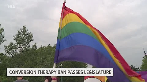 Michigan legislature passes a ban on conversion therapy