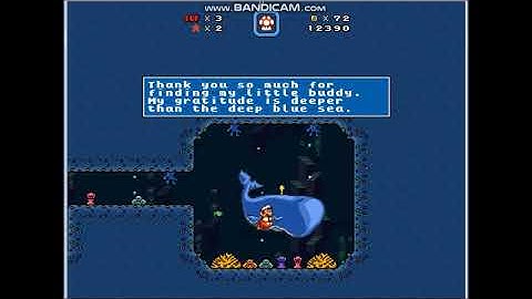 SMBX Custom Level: Baleen Beach