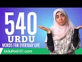 540 urdu words for everyday life  basic vocabulary 27