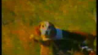 Animal Liberation Front 2- The Sequel