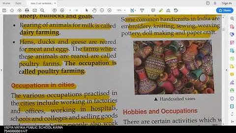 class 3 sst chapter 7 occupation part 2