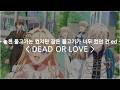 [한글자막] 놓친 물고기는 컸지만 잡은 물고기가 너무 컸던 건 ed Full - DEAD OR LOVE / 요시노