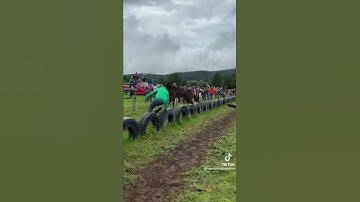 Horse fatal accident Broken leg￼ very sad 😔 for this beautiful animal #very #sad #shorts ￼