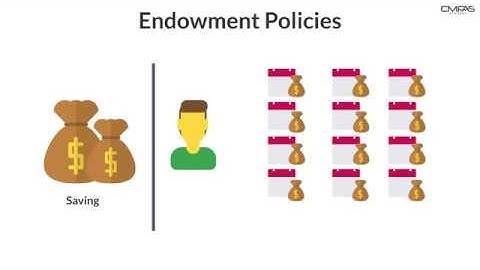 Endowment Insurance Policies by CMFAS Academy (CMFAS.com.sg)