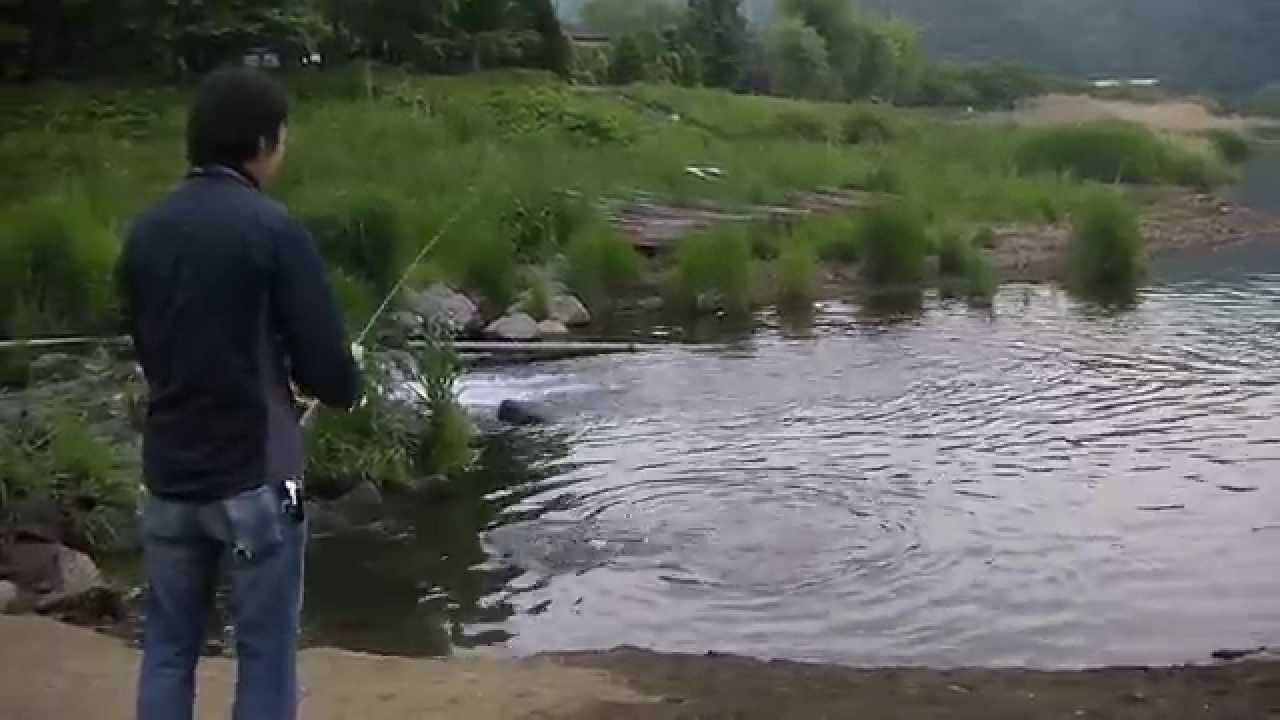 河口湖 トップウォーターでおかっぱり バス釣り Top Water Bass Fishing In Japan Youtube