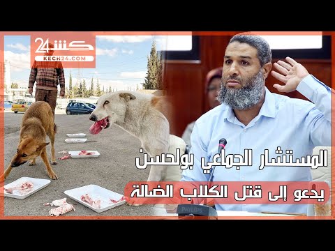 المستشار الجماعي بولحسن يدعو إلى قتل الكلاب الضالة
