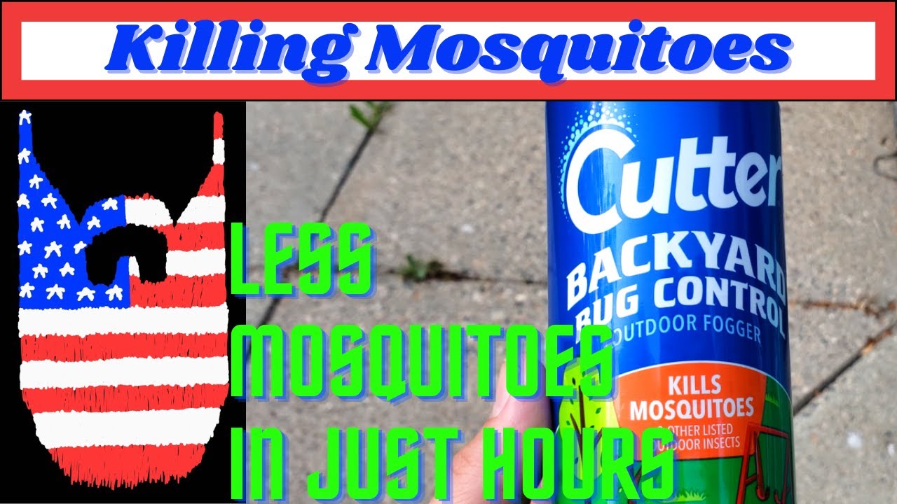 Kill Mosquitoes Quickly Cutter Backyard Bug Control Fogger YouTube