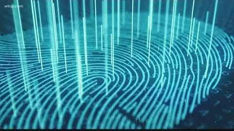 Fingerprint evidence was used to solve a murder case for the first time in 1905