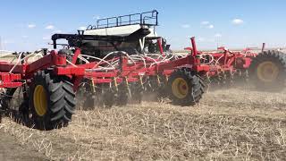 Seeding wheat. Regina, Canada.
