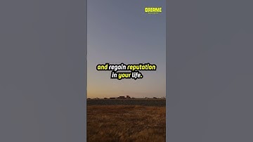 🛫 Unlocking Dream Secrets: The Significance of Seeing a Plane ! 🌙✈️ #dreamsymbols #dream #shorts