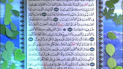 القران الكريم سورة هود من الاية 13 الى الاية 28
