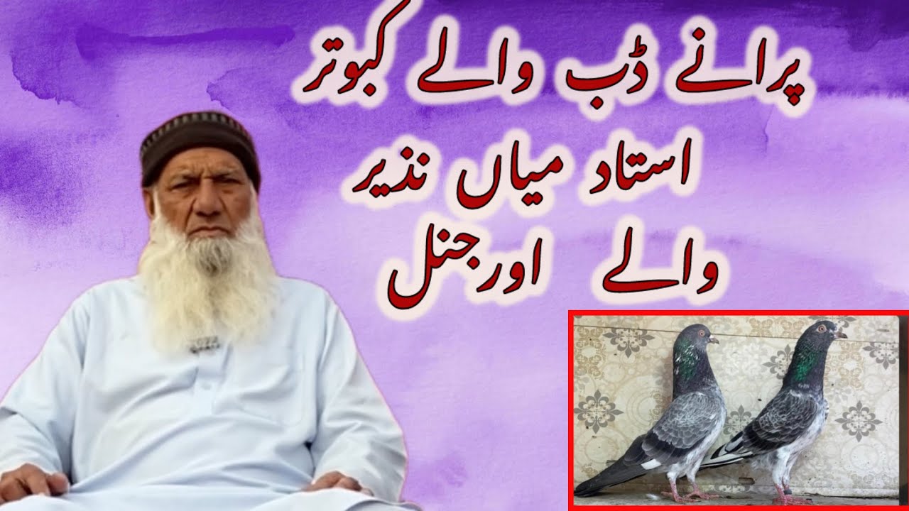 ustad baba Abdul Satar //qasoor  //dab wale kabotar