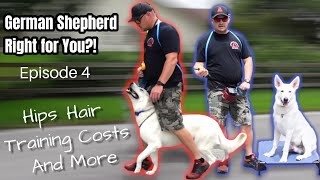 GERMAN SHEPHERD SHOULD YOU GET ONE?! Part 4