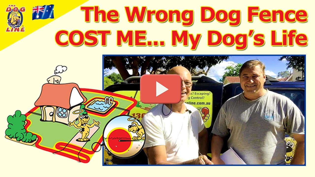 Electric Dog Fence Review He Got The Wrong Dog Fence and It Cost Him