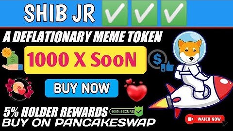 NEW SHIBJR.COM TOKEN On Market | Also Listed On Pancakeswap | How To Buy & How Much Pricing