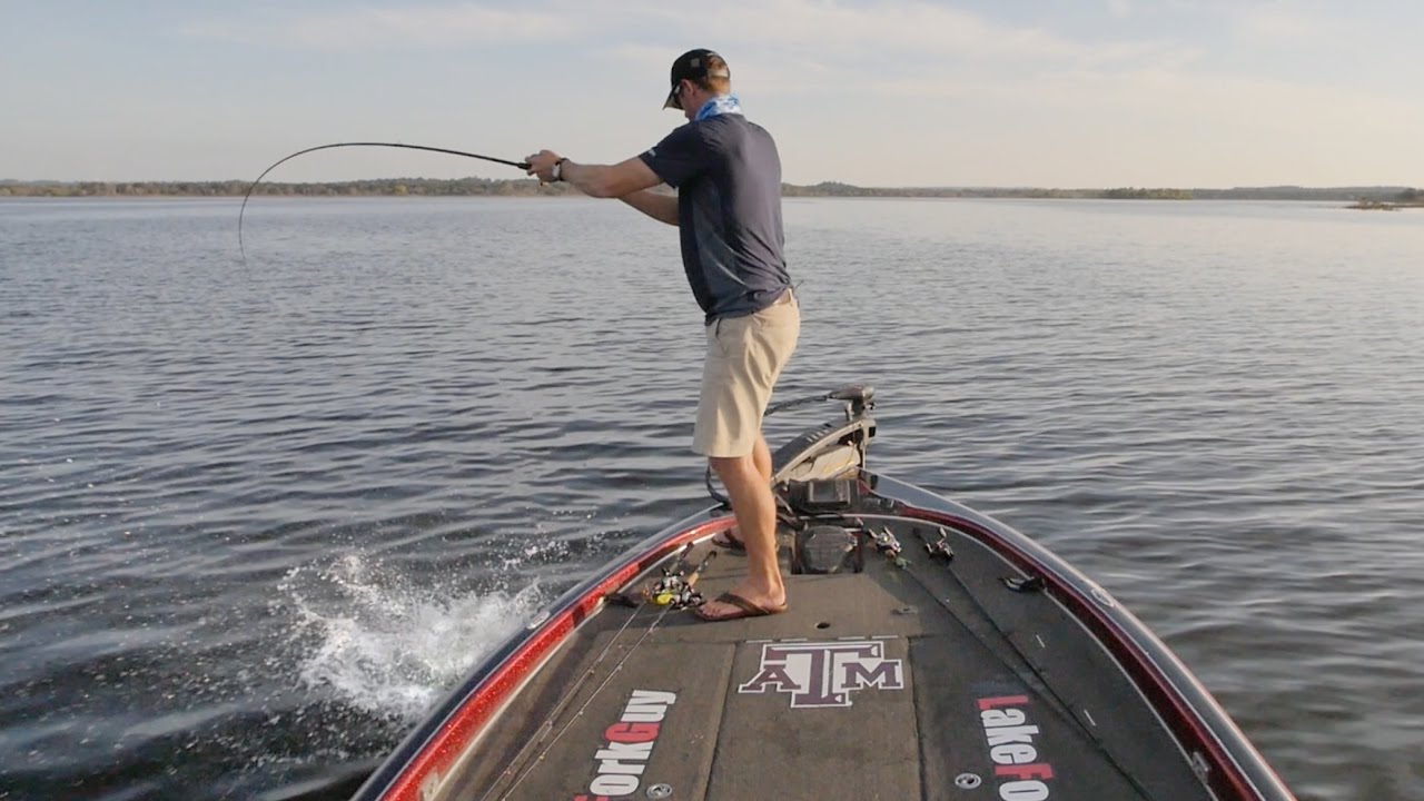 where to catch bass in the fall HUGE Hybrid Bass Blowing Up on Topwater