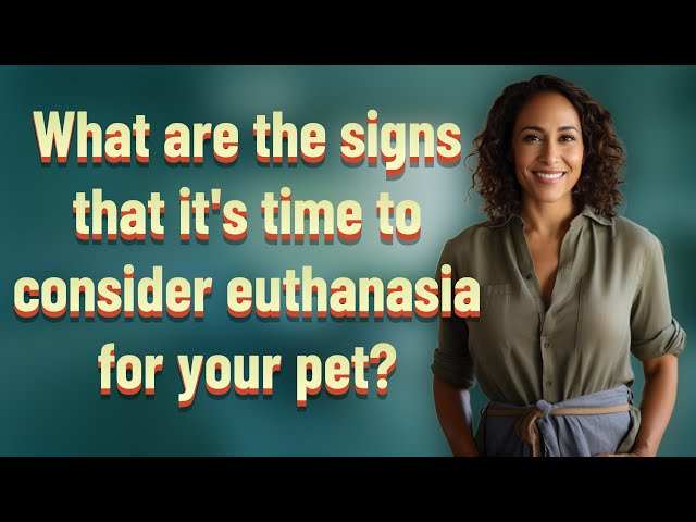 What are the signs that it's time to consider euthanasia for your pet? class=