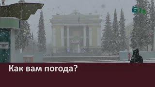 Как вам погода