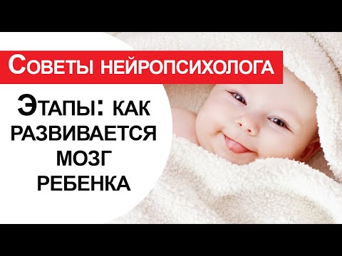 Этапы: как развивается мозг ребенка от рождения до школы