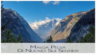 Malga Pelsa - Di nuovo sui sentieri delle Dolomiti