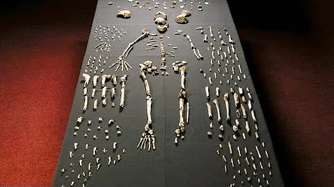 A Brand New Humanoid Species is Discovered in a Cave - DayDayNews