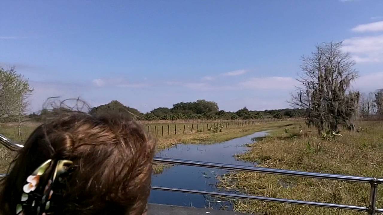 Wild Florida - Airboat Ride - YouTube