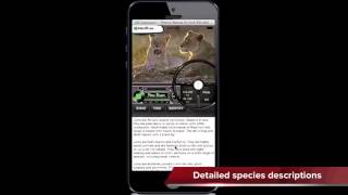 Phone Ranger Safari Guide App Screencast screenshot 1