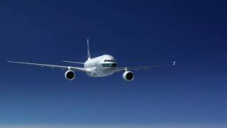 Cathay Pacific Flight 780 Landing Animation