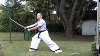 sword front and back cutting in long stance side view