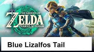 The Legend of Zelda Tears of the Kingdom - Blue Lizalfos Tail