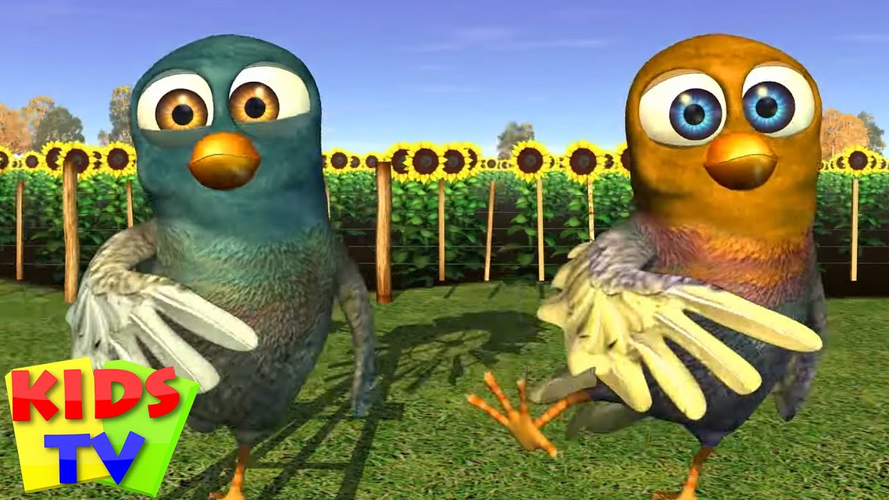 A Dança Dos Passarinhos Canção Infantil + Mais Desenhos animados para Crianças