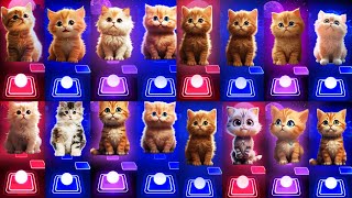 ALL CUTE CATS : WEDNESDAY  BLACKPINK  SHAKIRA WAKA   BTS   IMAGINE DRAGONS TILES HOP EDM RUSH