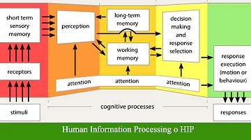Chi propose il modello Human Information Processing hip )?