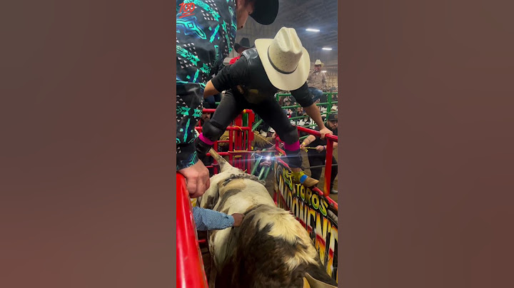 Jaripeo extremo jinete chile de colima vs don cheto 🐂