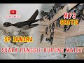 Suara Panggil Burung Walet Sp Jawara Mp3 - Mp4 Download