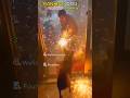 Ranking DOG Fireworks moments #dog #dogs #newyear2026