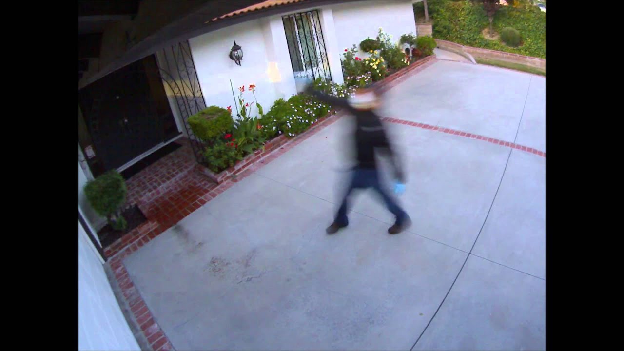 Spraying wasps with Spectracide Pro Wasp & Killer YouTube