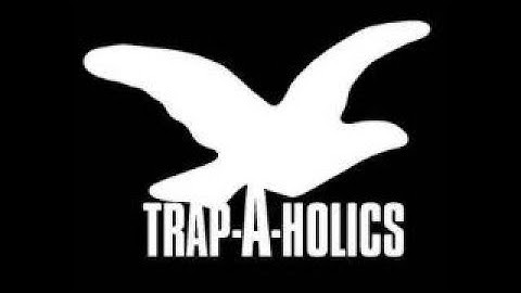 THE RETURN OF THE GREATEST GROUP EVER (Primordial.dev hvh highlights)