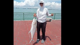 Bedok Jetty, 7kg Queenfish from yesterday Golden Hour