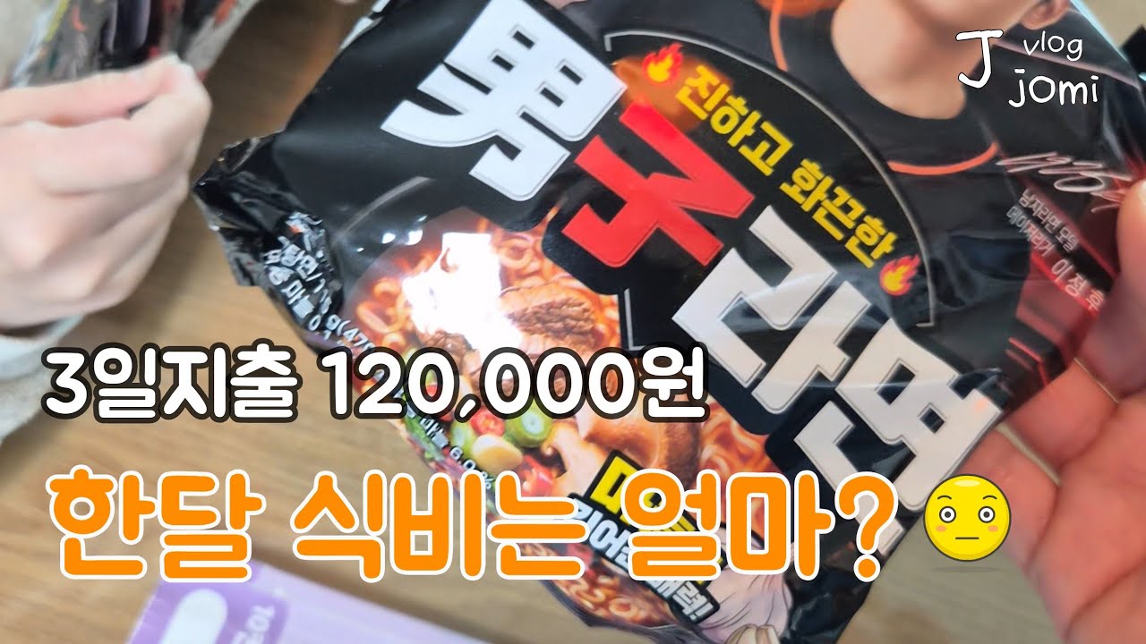 돈도털고..냉장고도 털고..11월 생활비정산 | 한달 식비 얼마? [4인가족 가계부브이로그]