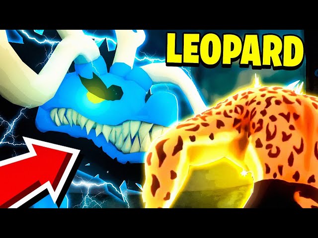 MELHOR QUE A DRAGON? A NOVA FRUTA MITHYCAL DO BLOX FRUITS: LEOPARD