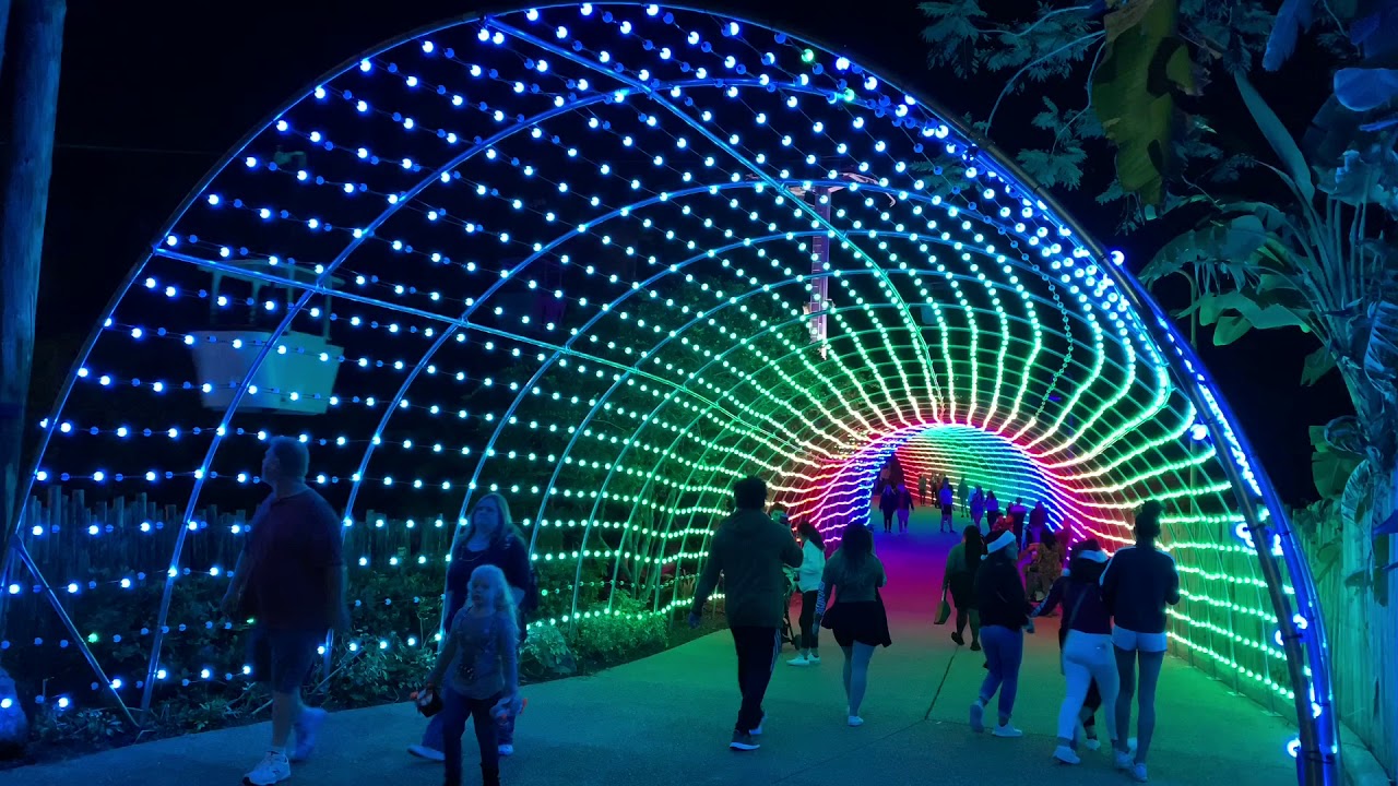 Busch Gardens Christmas Town Holiday Lights Tunnel YouTube