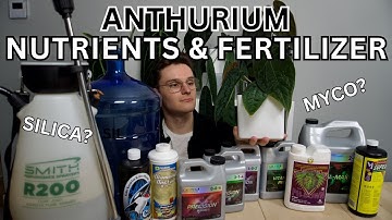 How I Grow Anthurium Part 2: Nutrient Solution