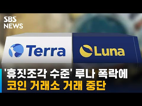 루나 폭락에 코인 거래소 거래 중단 코인 시장 위기감 SBS 