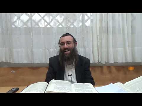 שאלת הריפ''ש בענין התפשטות הכתר | שער הנקודים פרק י חלק ד | הרב אריאל סיבוני | אוצרות חיים המבואר 94